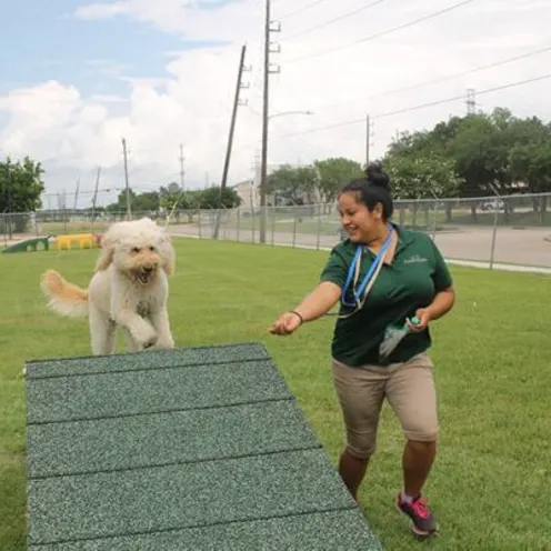 Staff member with dog on obstacle course.